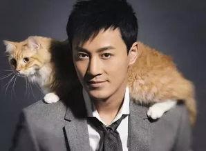 林峰近期爆料新闻视频大全,揭秘娱乐圈幕后真相  第2张